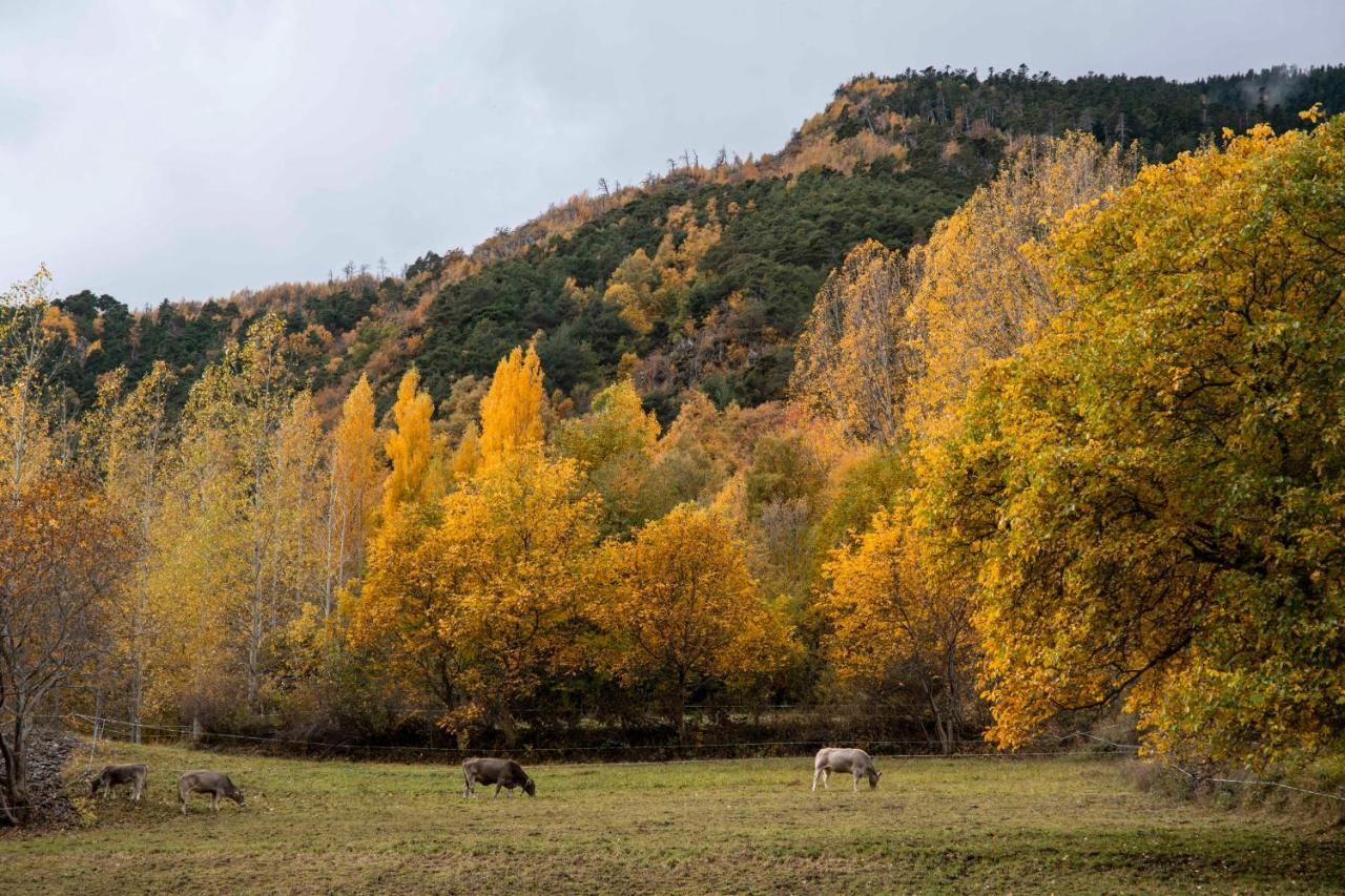 Casa Rural Besoli Areu Bagian luar foto